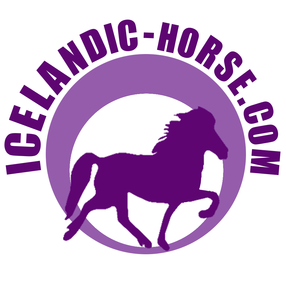 Icelandic Horse 🐎 Instagram Account jetzt folgen und mitmachen