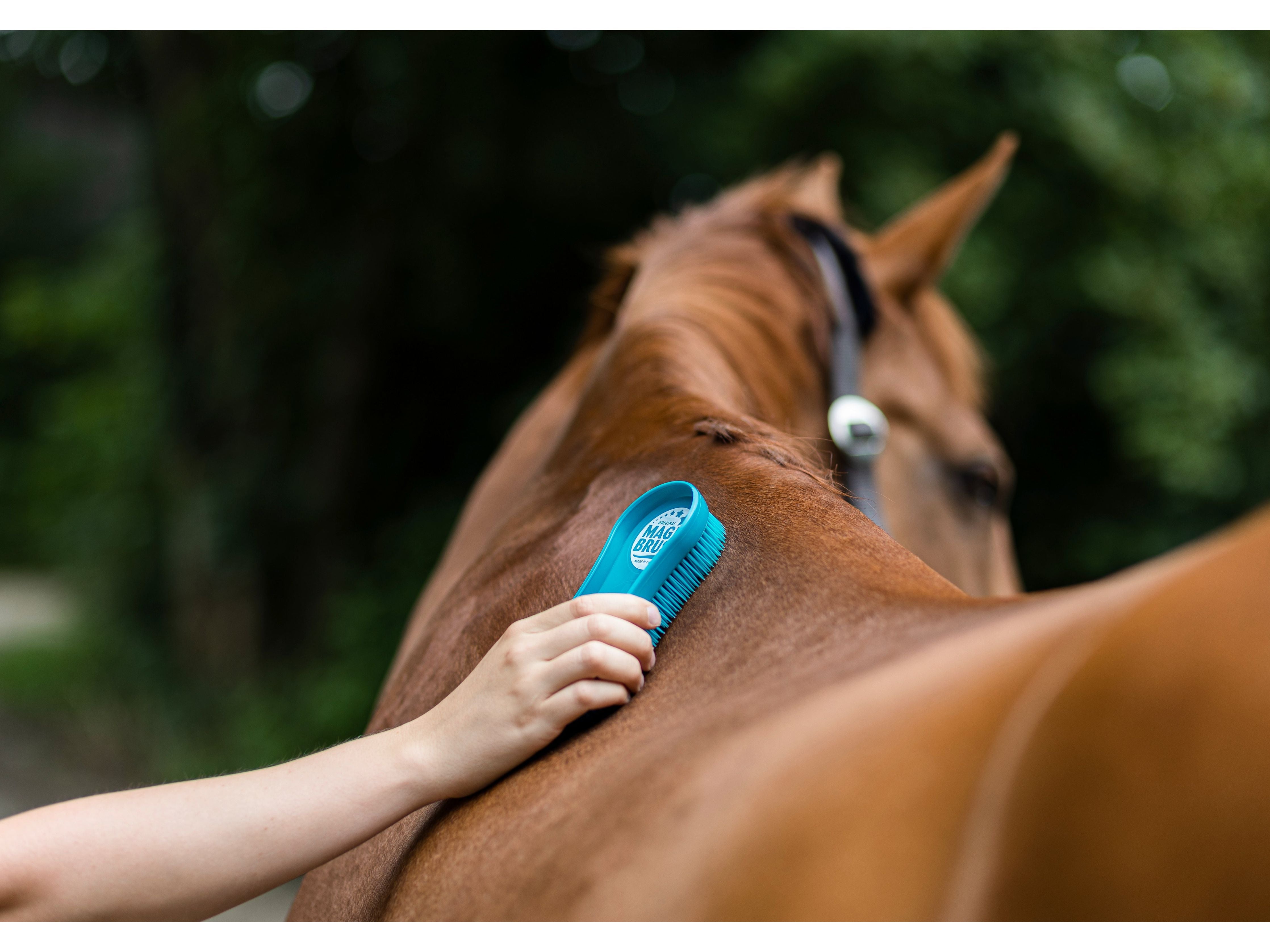 Jeu de pinceaux MagicBrush Classique