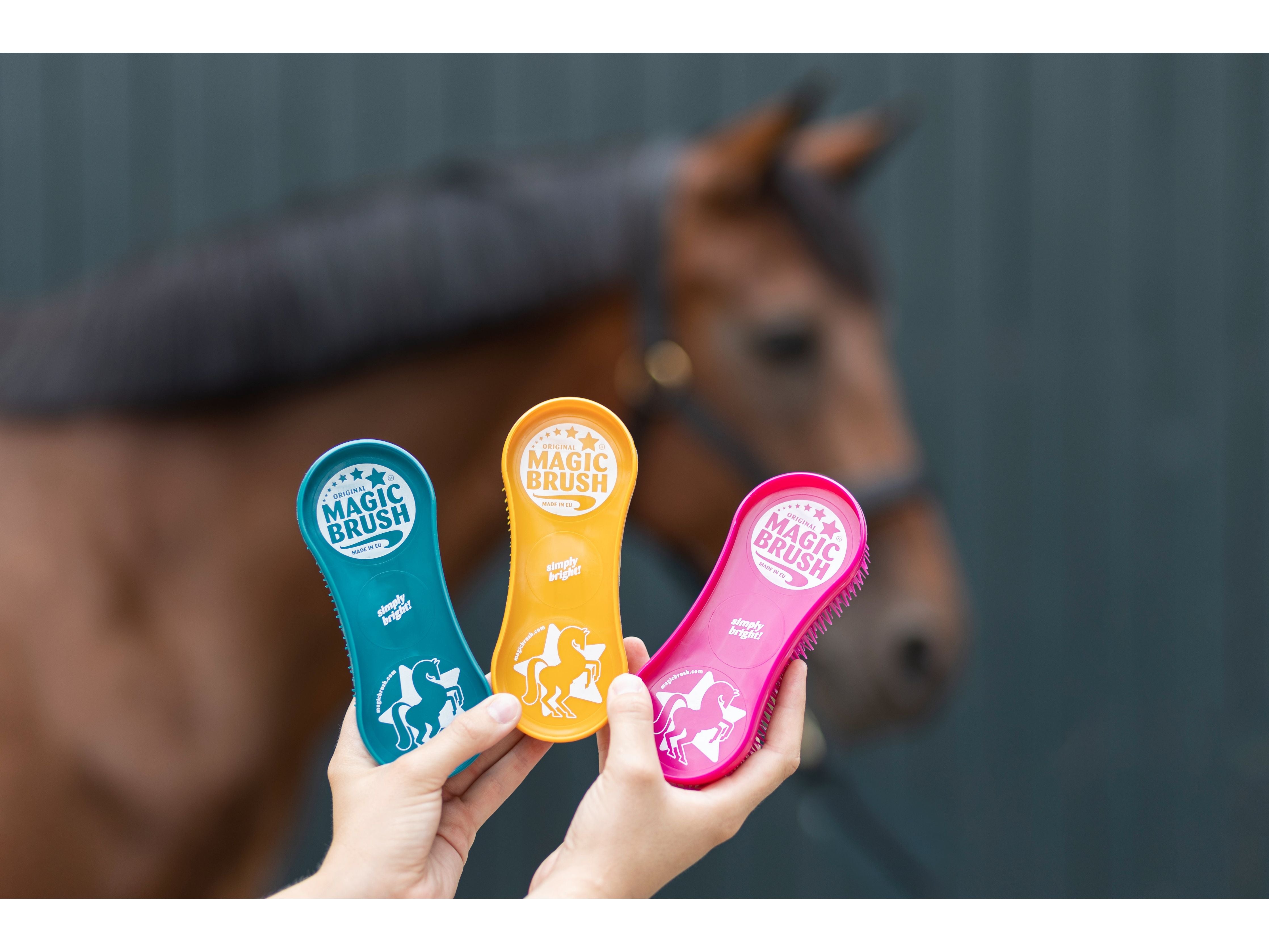 MagicBrush Bürstenset Classic