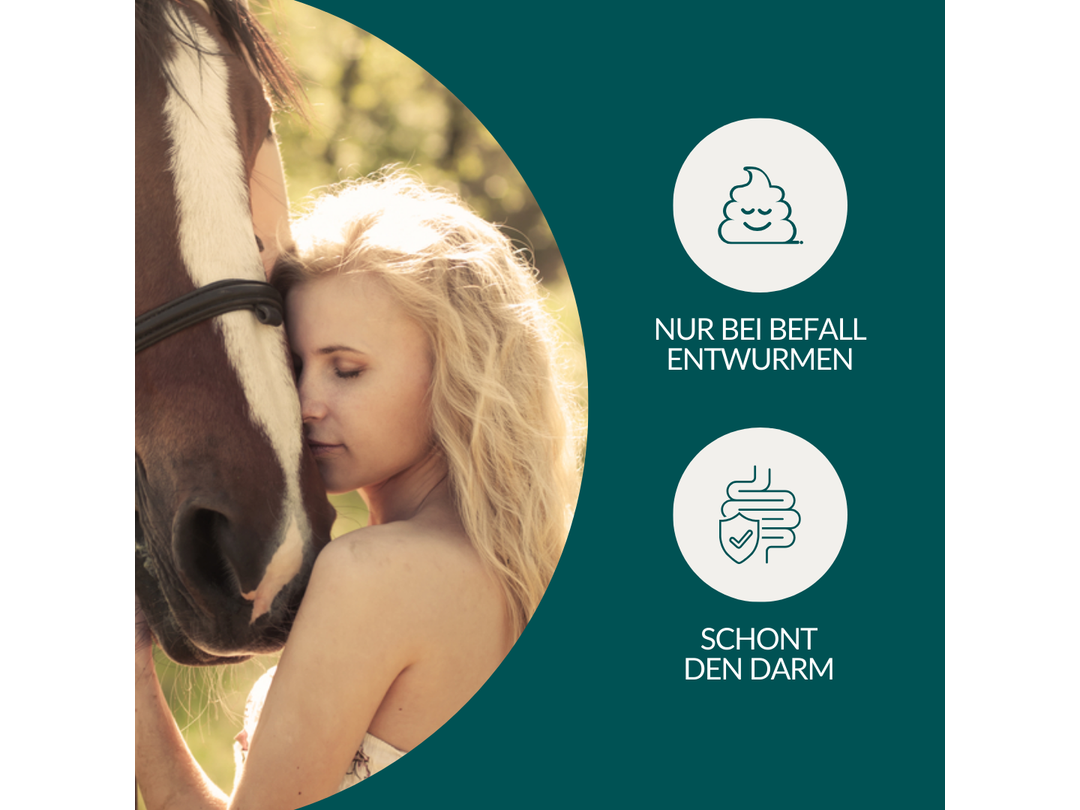 Cheval de test du ver Vetevo Pro