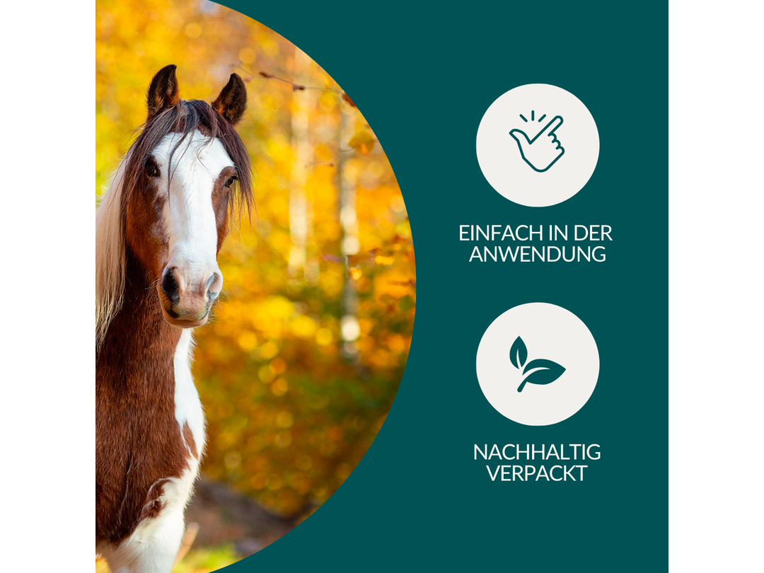 Cheval de test du ver Vetevo Pro