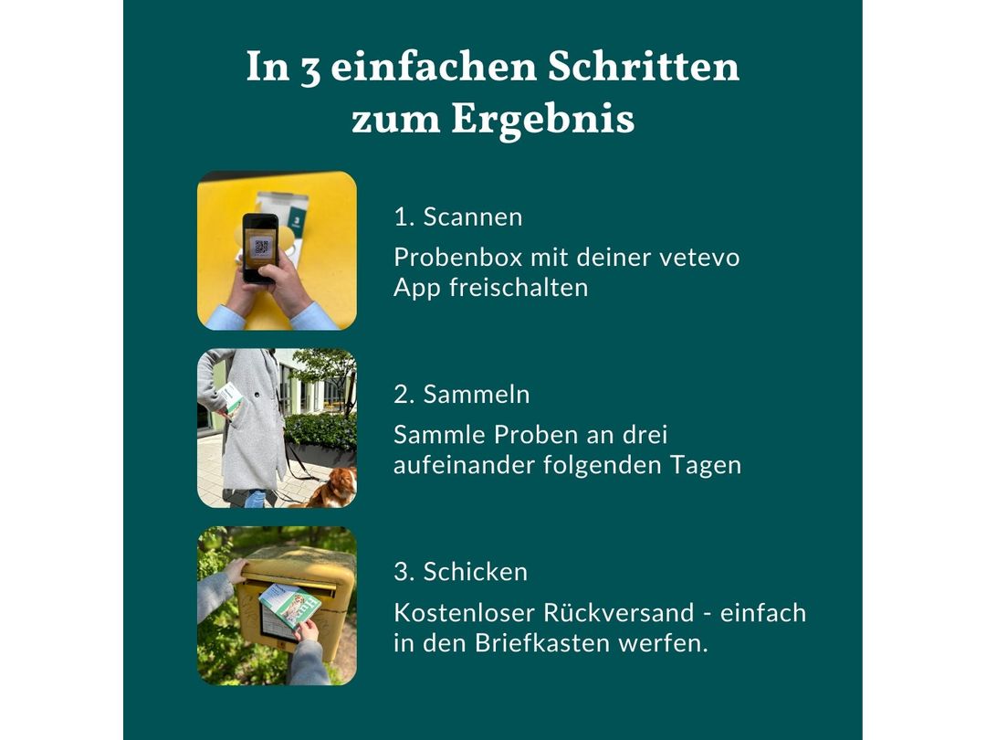 Cheval de test du ver Vetevo Pro