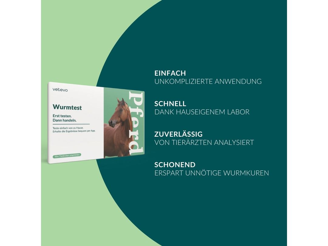 Cheval de test du ver Vetevo Pro