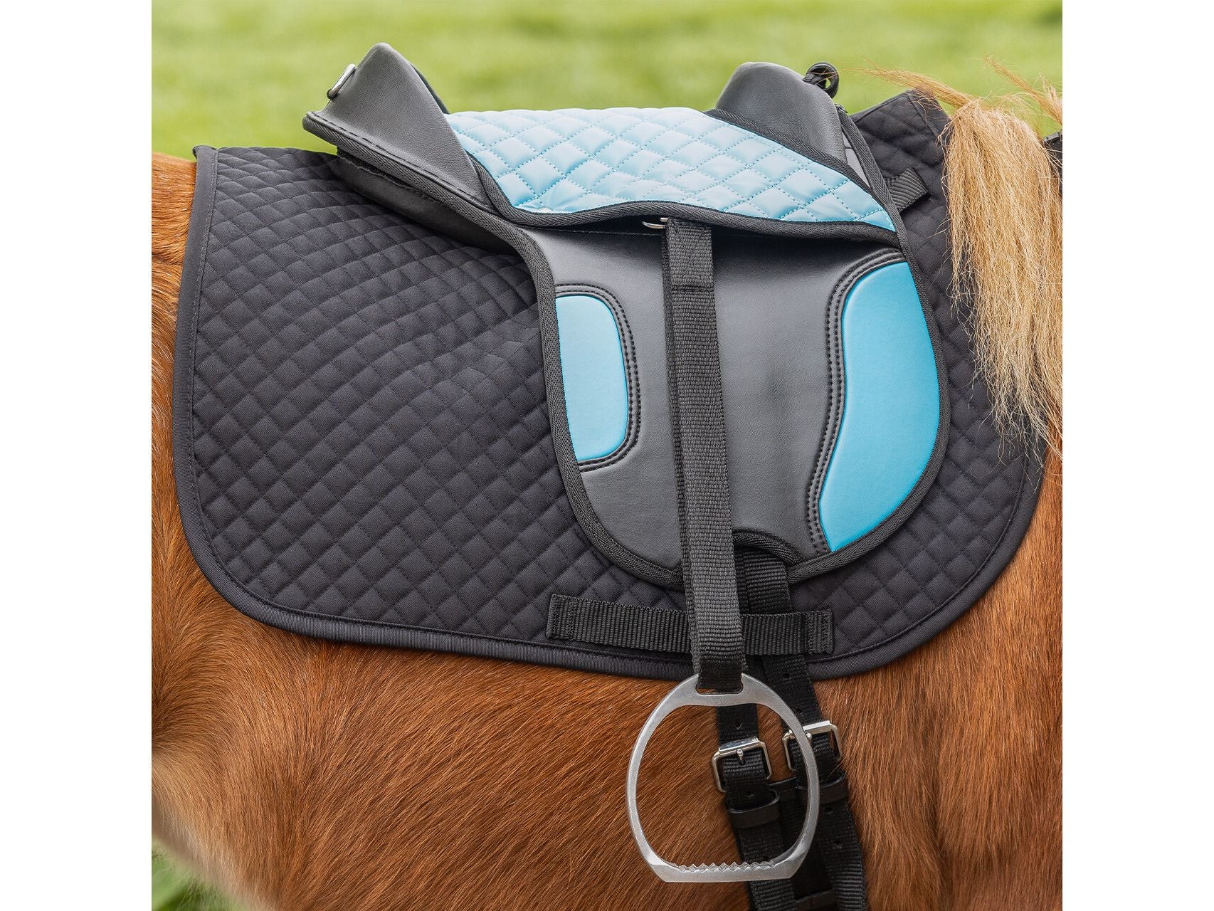 QHP Shetland Sattel für Kinder