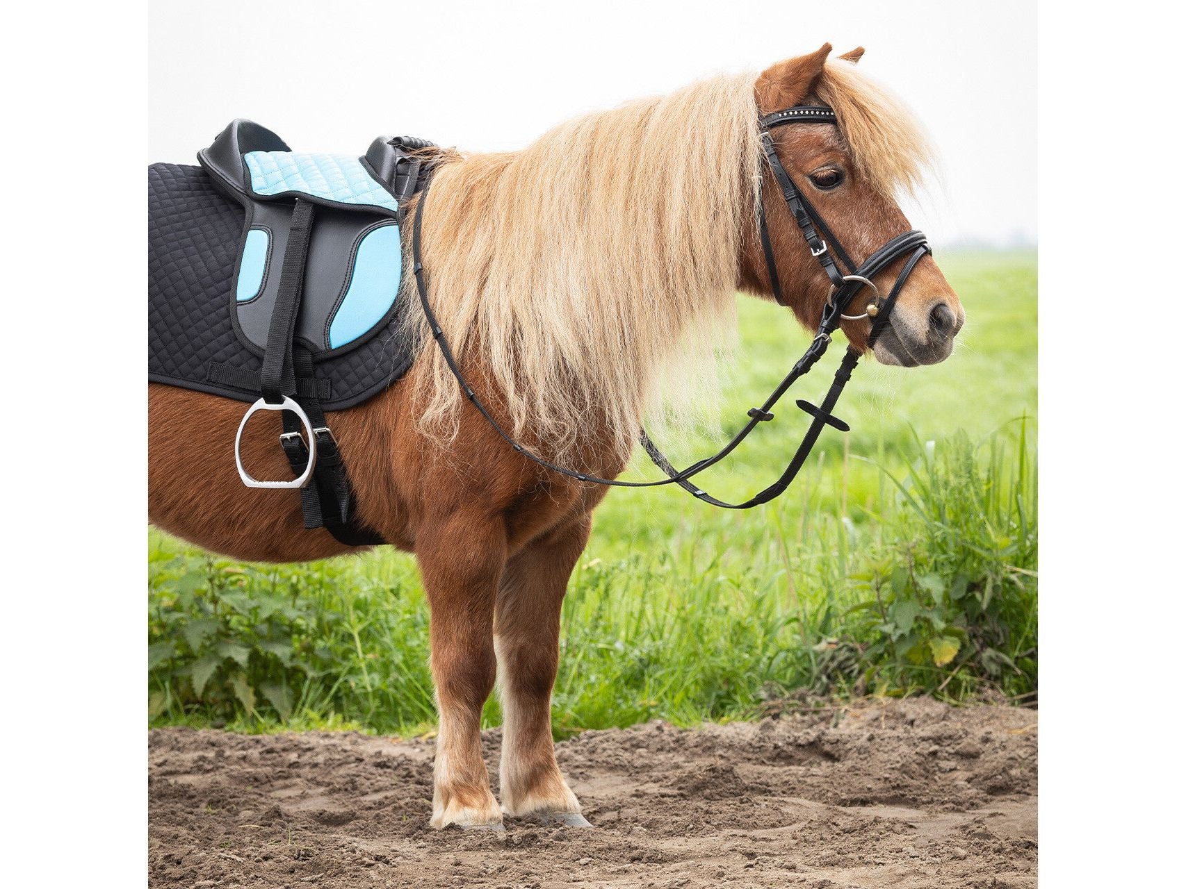QHP Shetland Sattel für Kinder