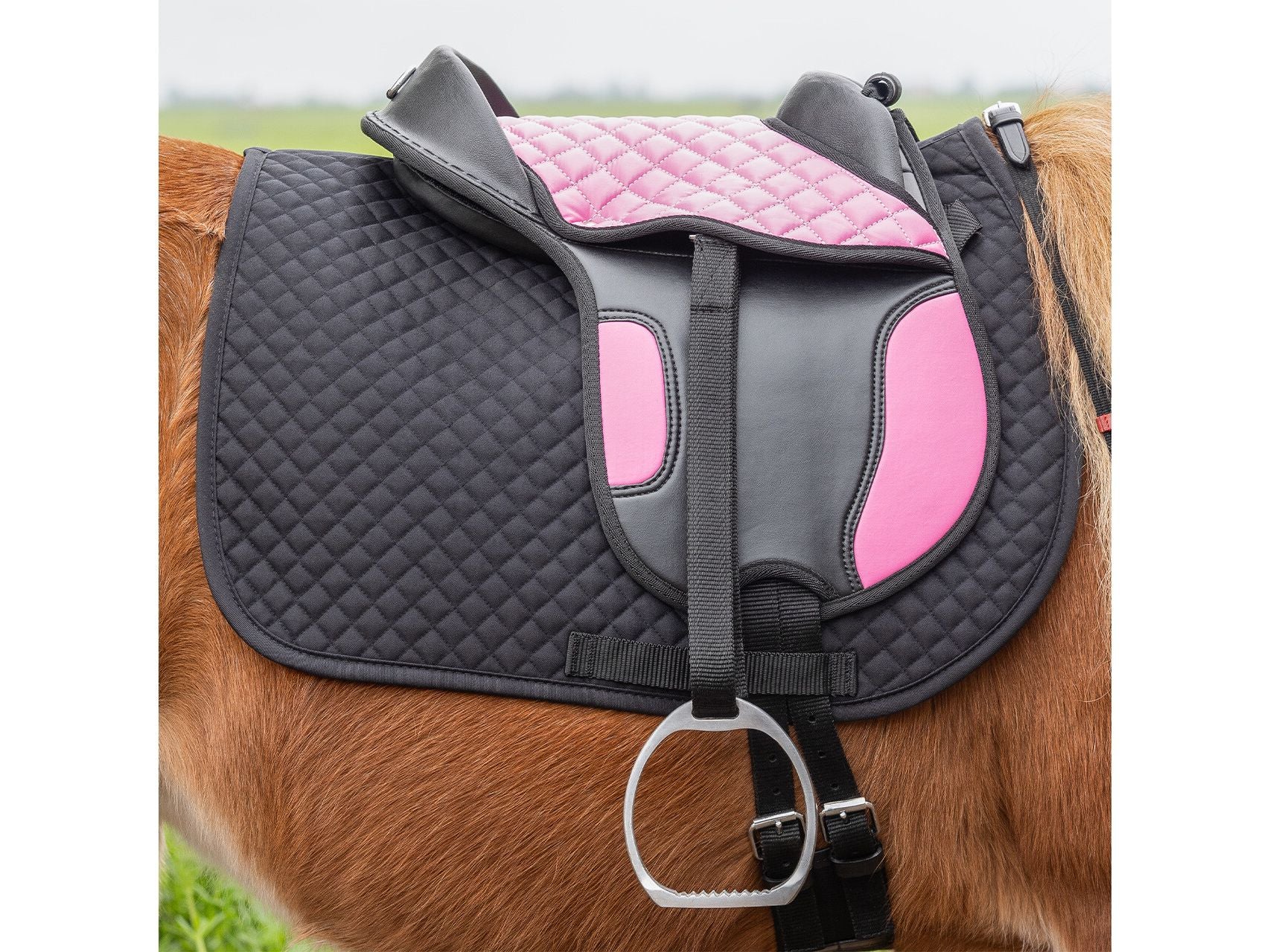 QHP Shetland Sattel für Kinder