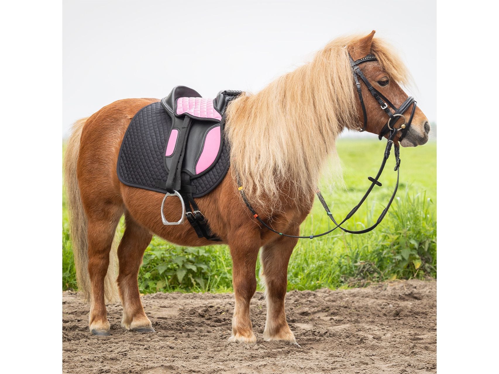 QHP Shetland Sattel für Kinder