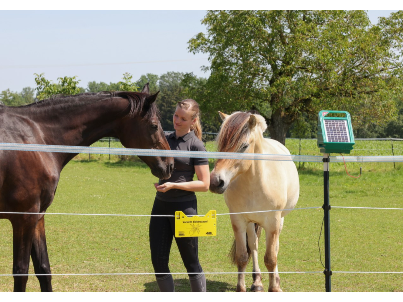AKO Sun Power S 250 Weidezaungerät