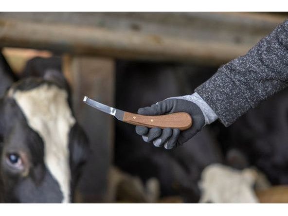 Aesculap Huf- und Klauenmesser dänische Form Expert