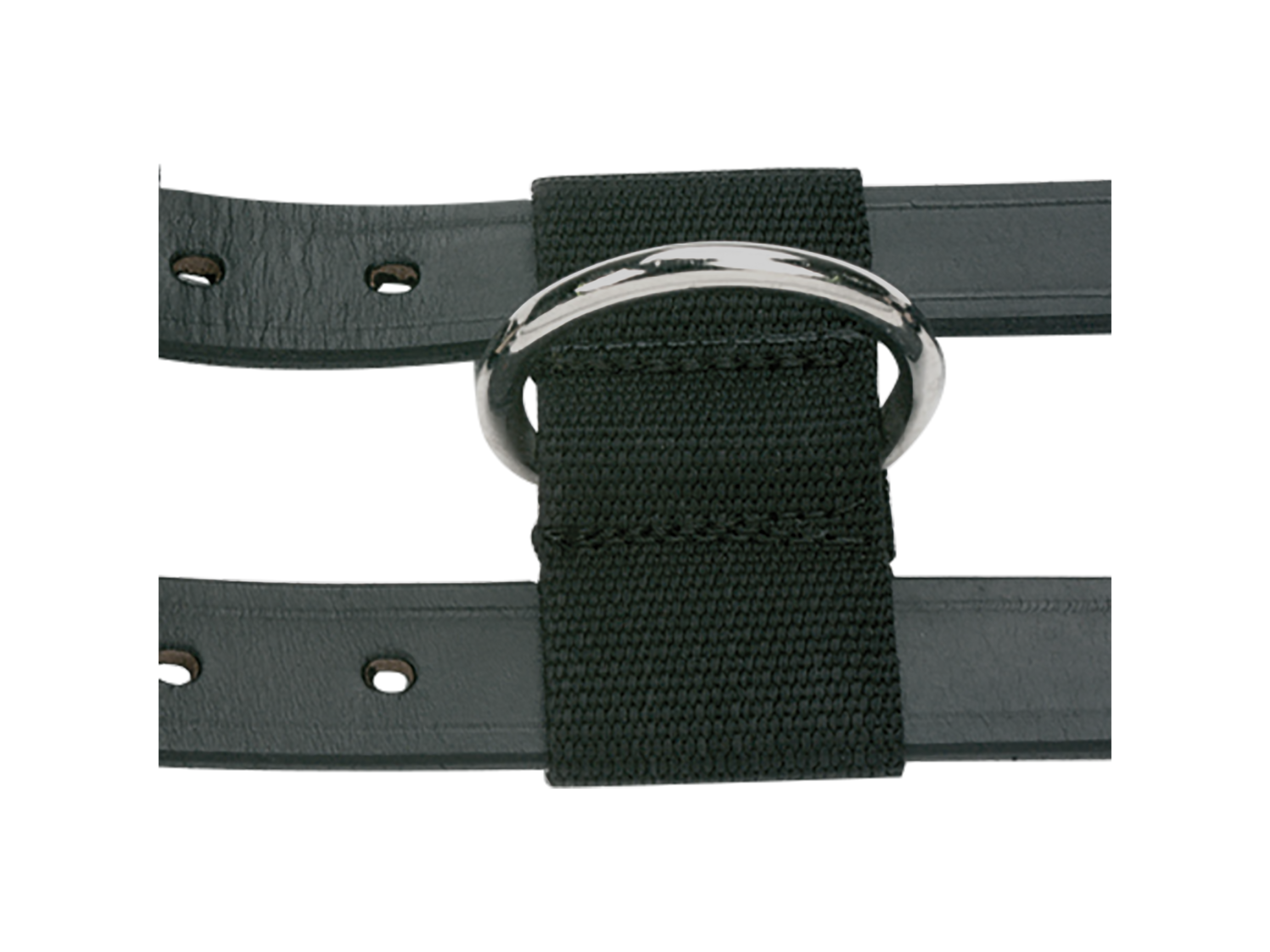 BUSSE Ceinture de Longe Professionnelle - Cuir