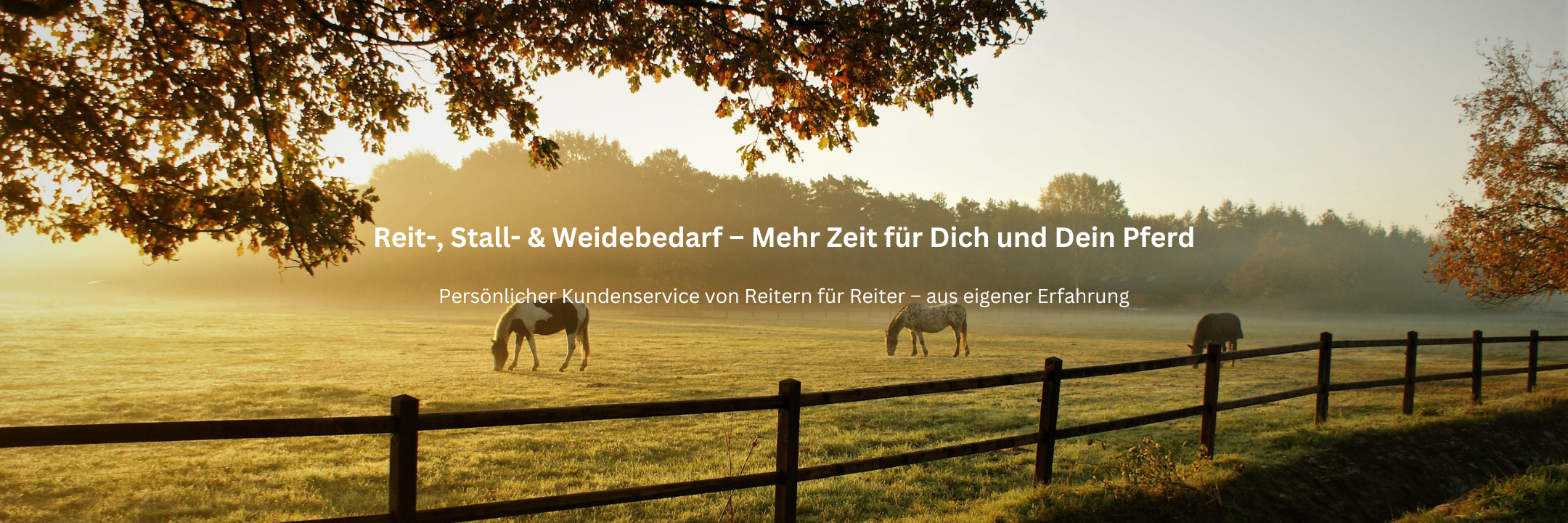 Reit-, Stall- & Weidebedarf – mehr Zeit mit Deinen Pferden
Persönlicher Kundenservice von Reitern und Pferdehaltern, aus eigener Erfahrung. Bei uns findet ihr neben Fütterungszubehör, Hofbedarf, Futterraufen, Weidetränken und Bodenbelag auch Produkte aus dem Bereich Weidezaun, Weidepanel, Stallapotheke oder Einstreu für die Arbei
Icelandic Horse Onlineshop – Expertenberatung für Reitbedarf, Pferdefutter, Stall- und Weidezubehör für Islandpferde, Pferde und Ponys