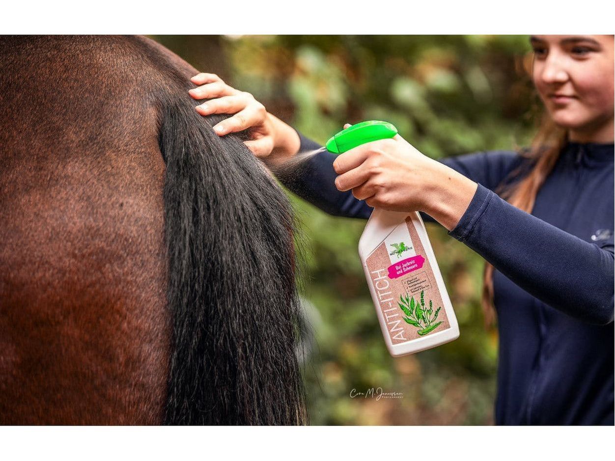 Bense & Eicke Anti-Démangeaisons