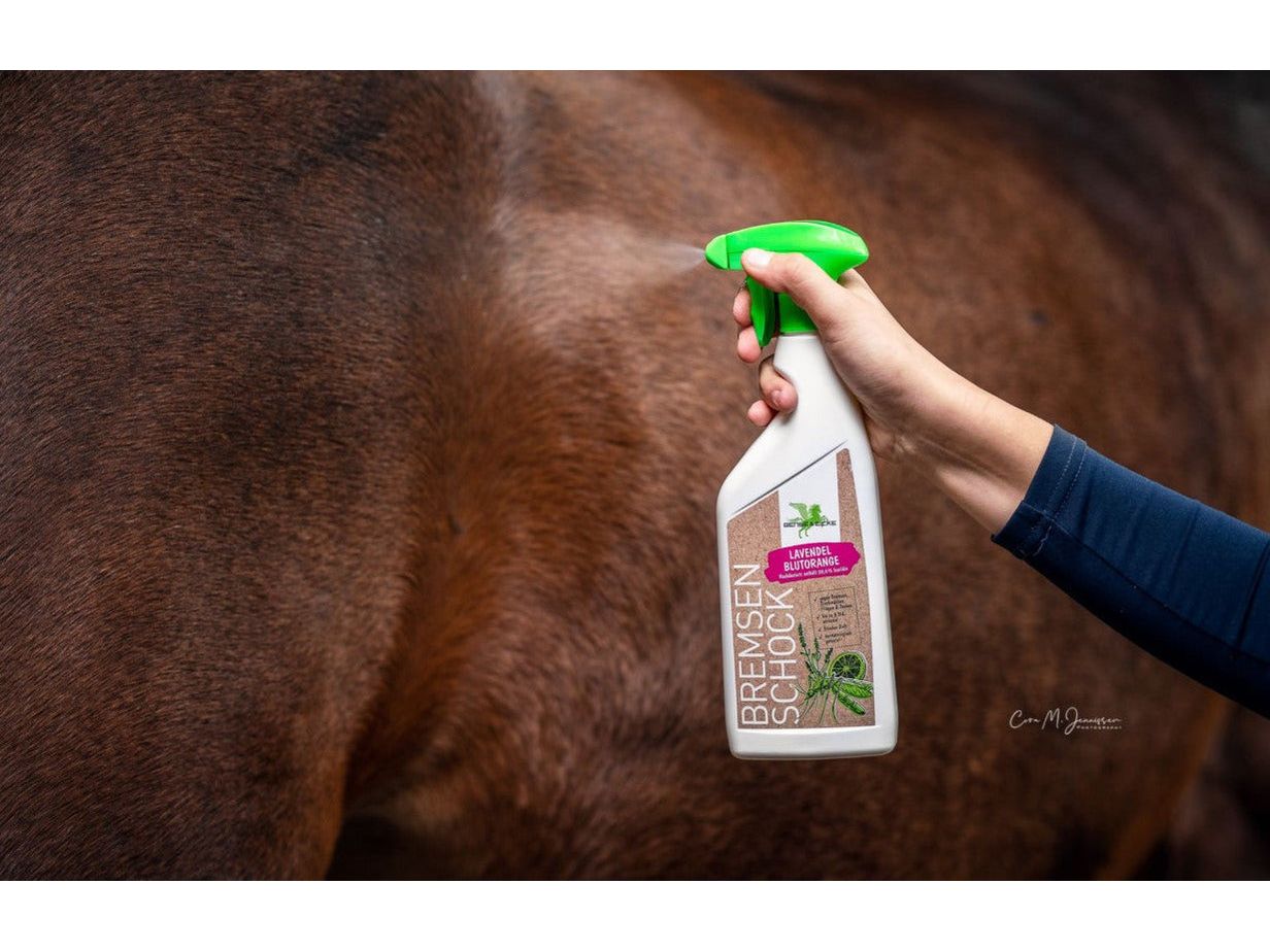 Bense & Eicke Amortisseur De Frein Lavande-Orange Sang