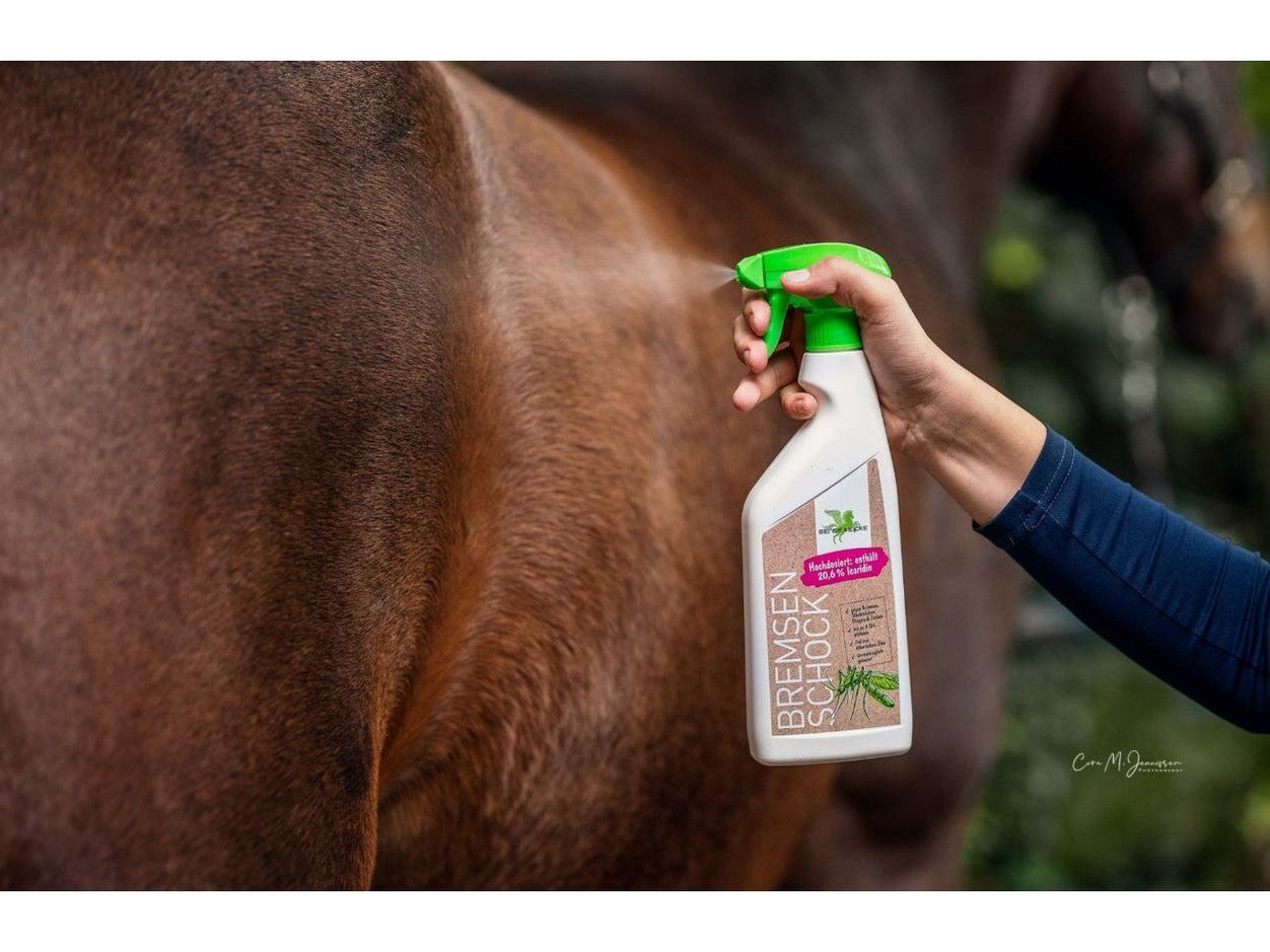 Amortisseur de frein Bense & Eicke