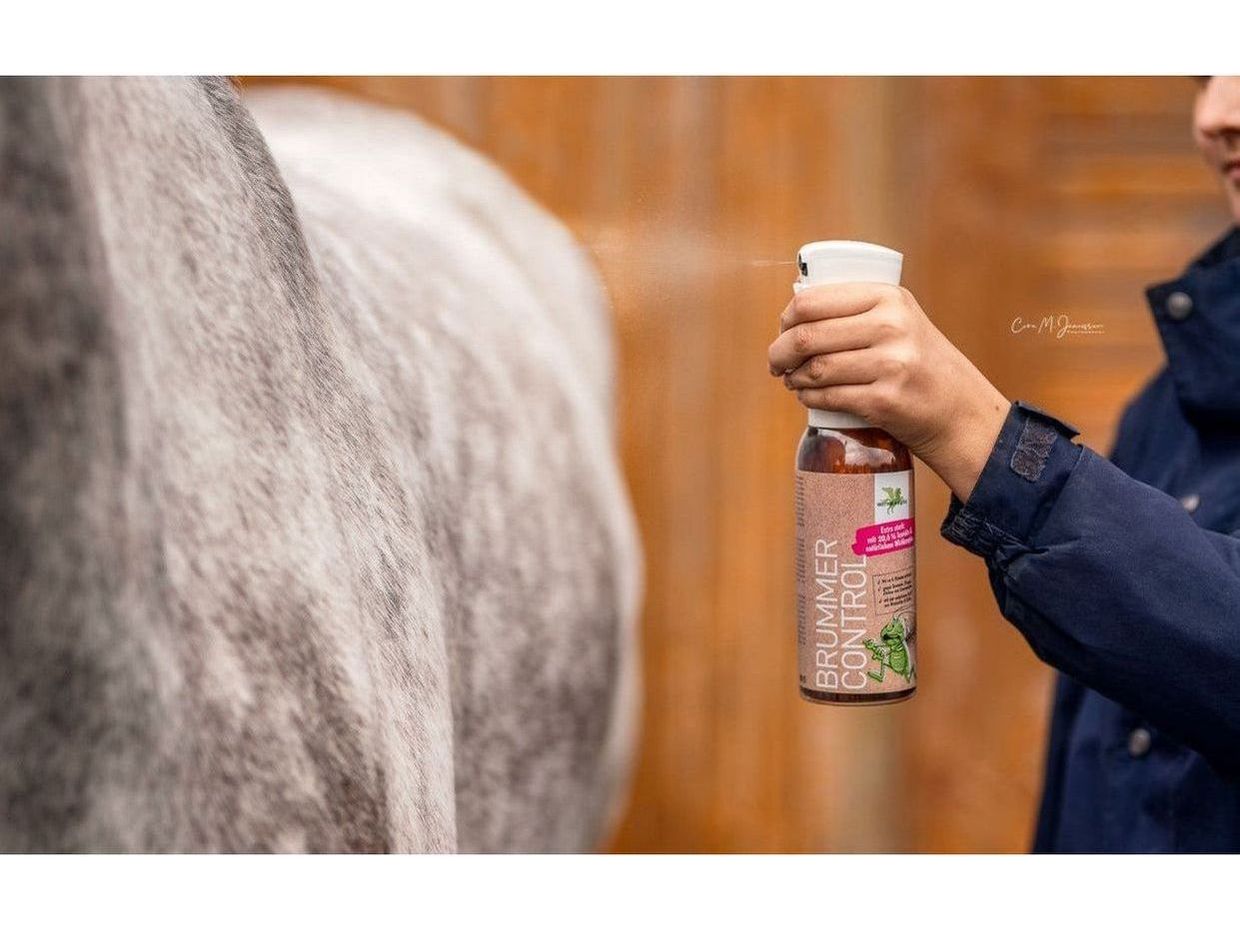 Bense & Eicke Brummer Control