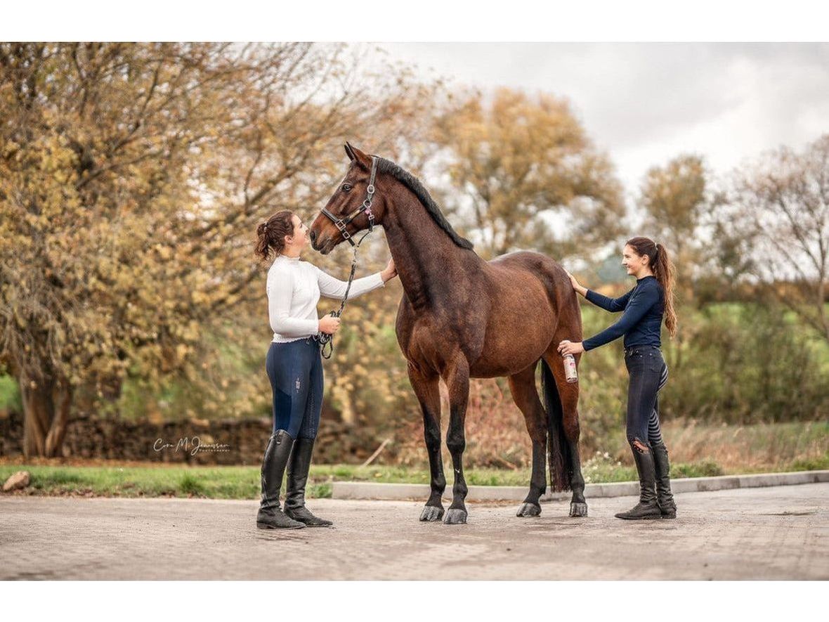 Bense & Eicke Brummer Control