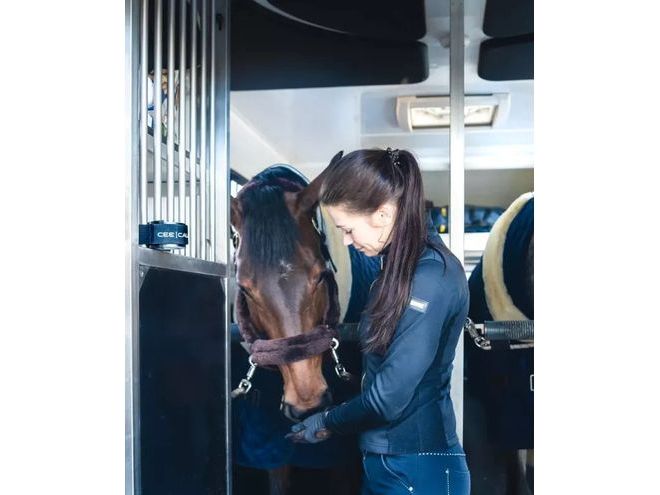 Peiker acoustic calming device Ceecalm for horses