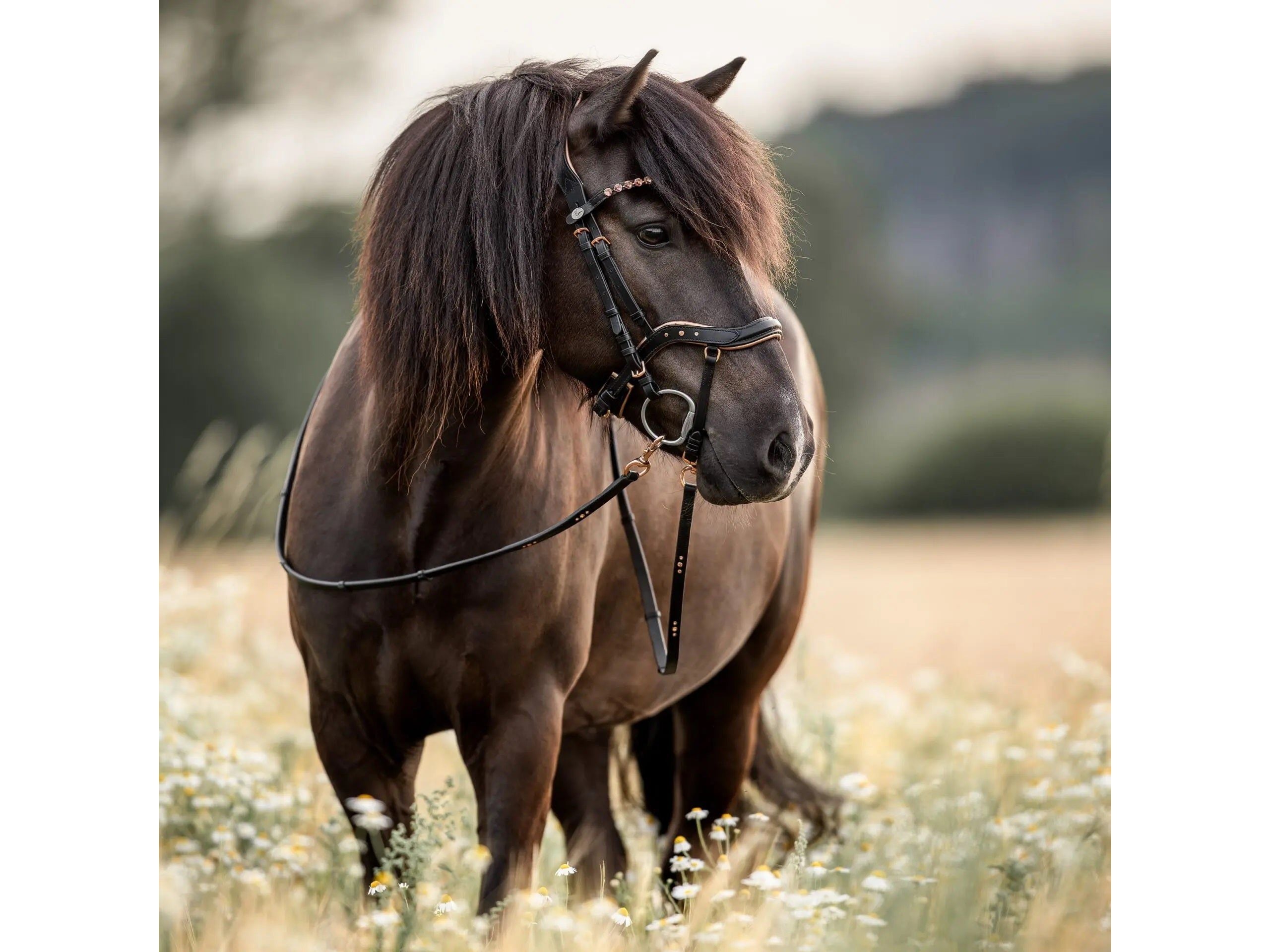 Bride anatomique Epona or rose