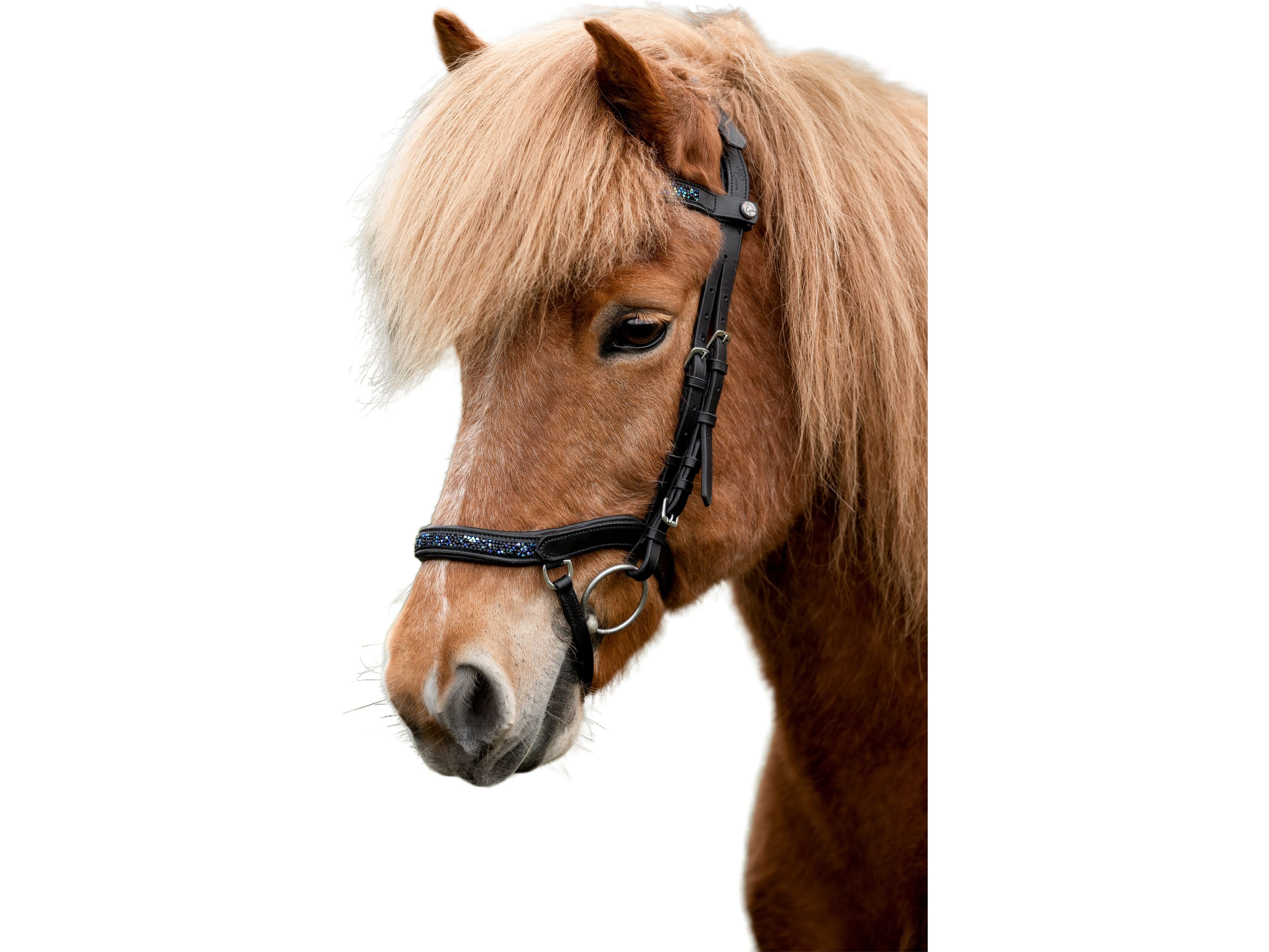 Die qualitativ hochwertige anatomische Trense Aurora dark ocean von Epona bietet Deinem Islandpferd einen optimalen Tragekomfort und lässt es dabei elegant erstrahlen