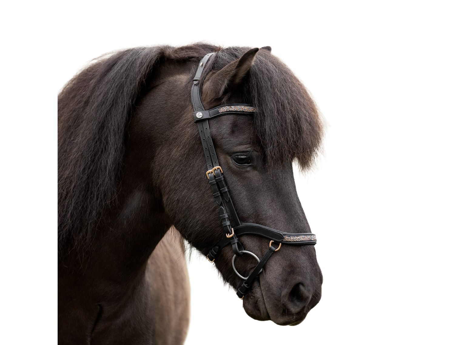 Die qualitativ hochwertige anatomische Trense Aurora roségold von Epona bietet Deinem Islandpferd einen optimalen Tragekomfort und lässt es dabei elegant erstrahlen