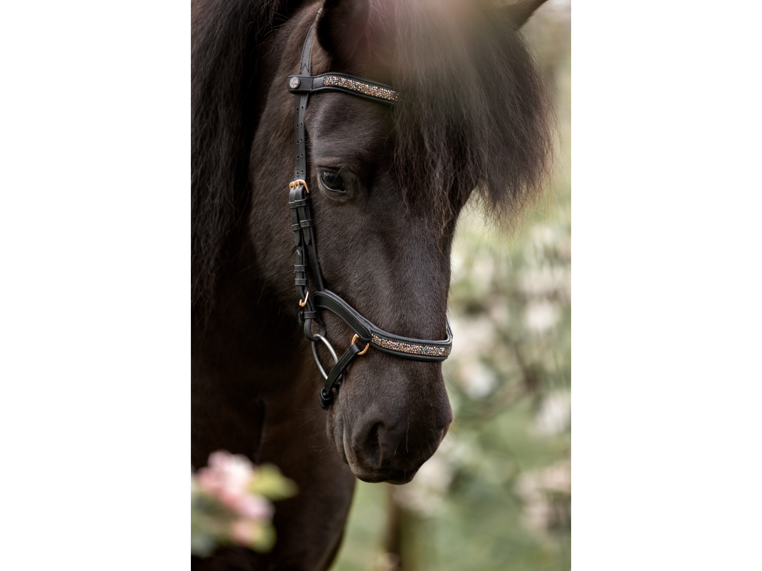 Epona Anatomische Trense Aurora roségold