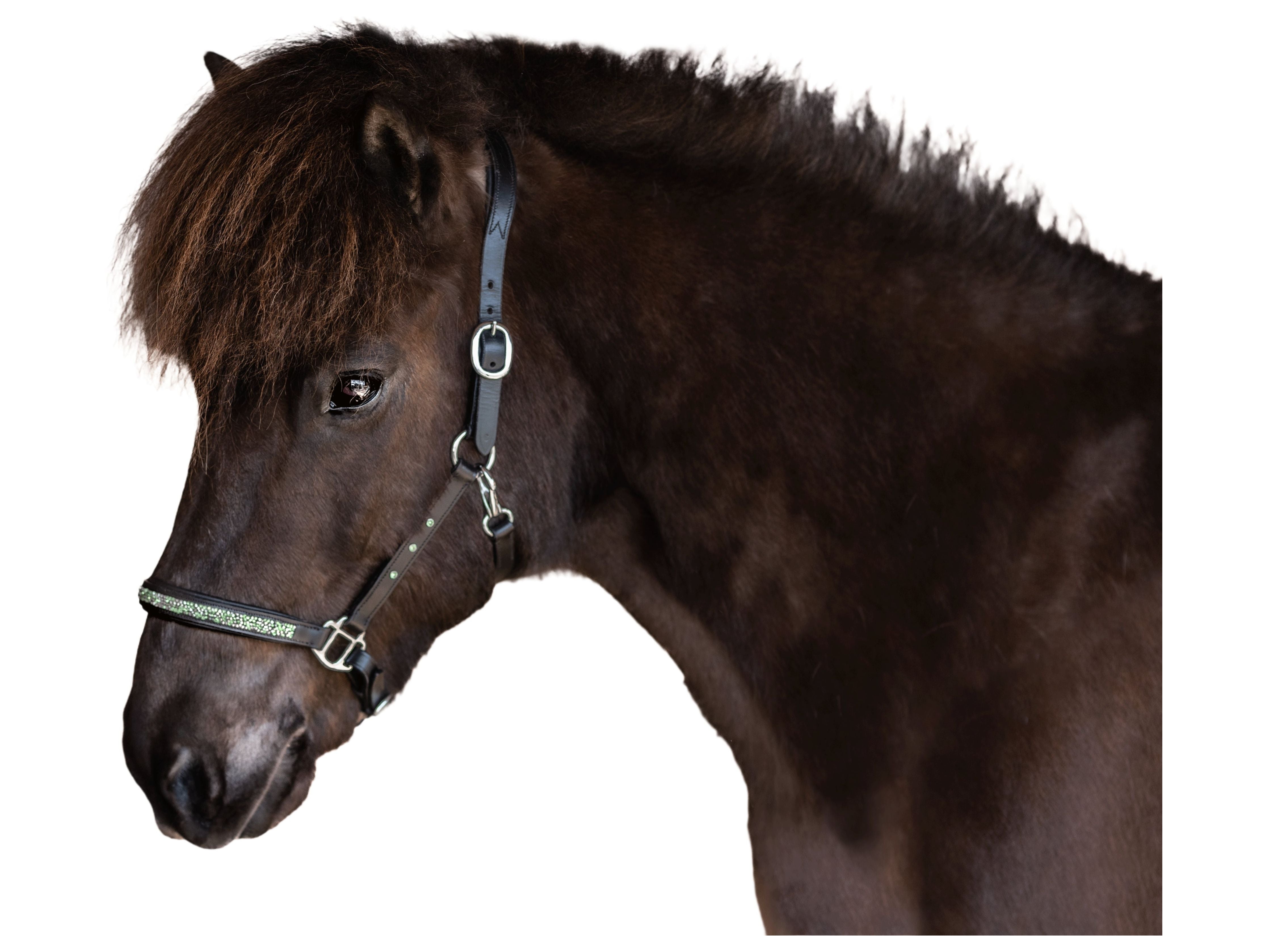Hochwertig verarbeitetes Halfter für Islandpferde aus besonders weichem Leder, verziert mit funkelnden grünen Steinen