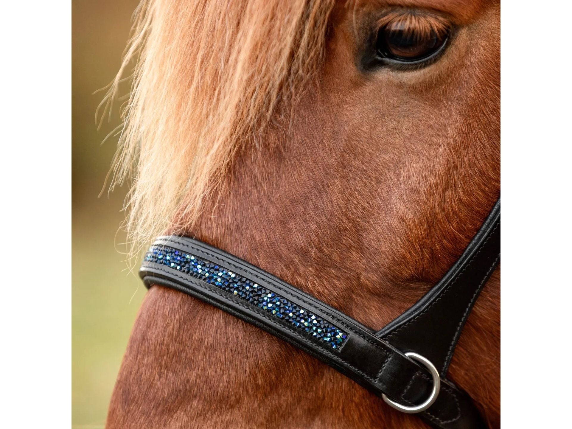 Epona Gebissloser Zaum dark ocean