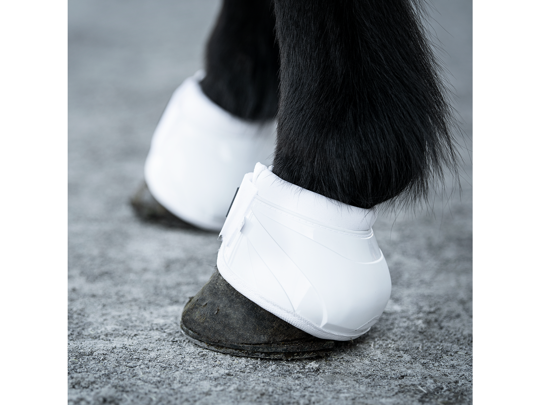 Epona Hufglocken mit Stopper