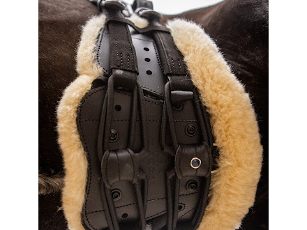 Stübben Equi-Soft® Sattelgurt inkl. Polster