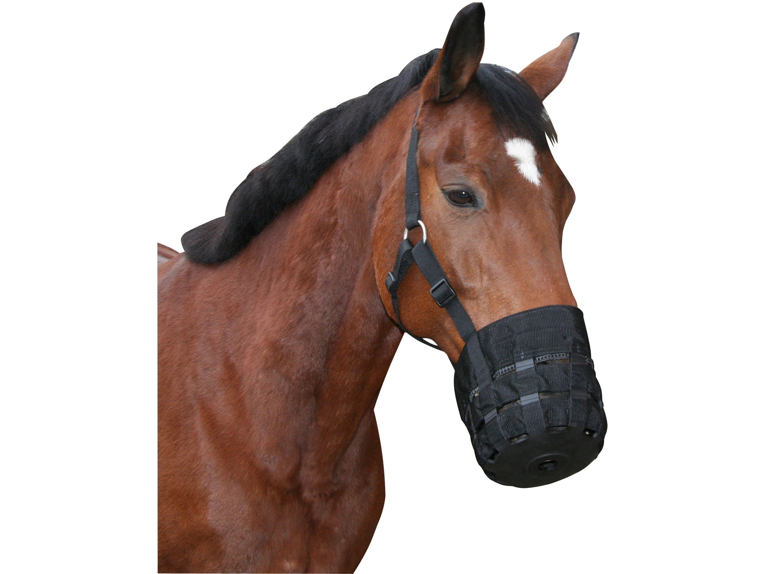 Icelandic Horse Fressbremse Nylon