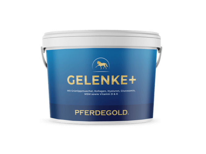 Gelenke+ 2.0