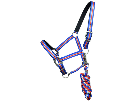 <span data-mce-fragment="1">Sorge für den ganz </span><span data-mce-fragment="1">besondere Island-Look, mit dem v</span><span data-mce-fragment="1">erstellbaren Nylonhalfter und dem passenden Baumwollstrick </span><span data-mce-fragment="1">in Islandfarben</span>