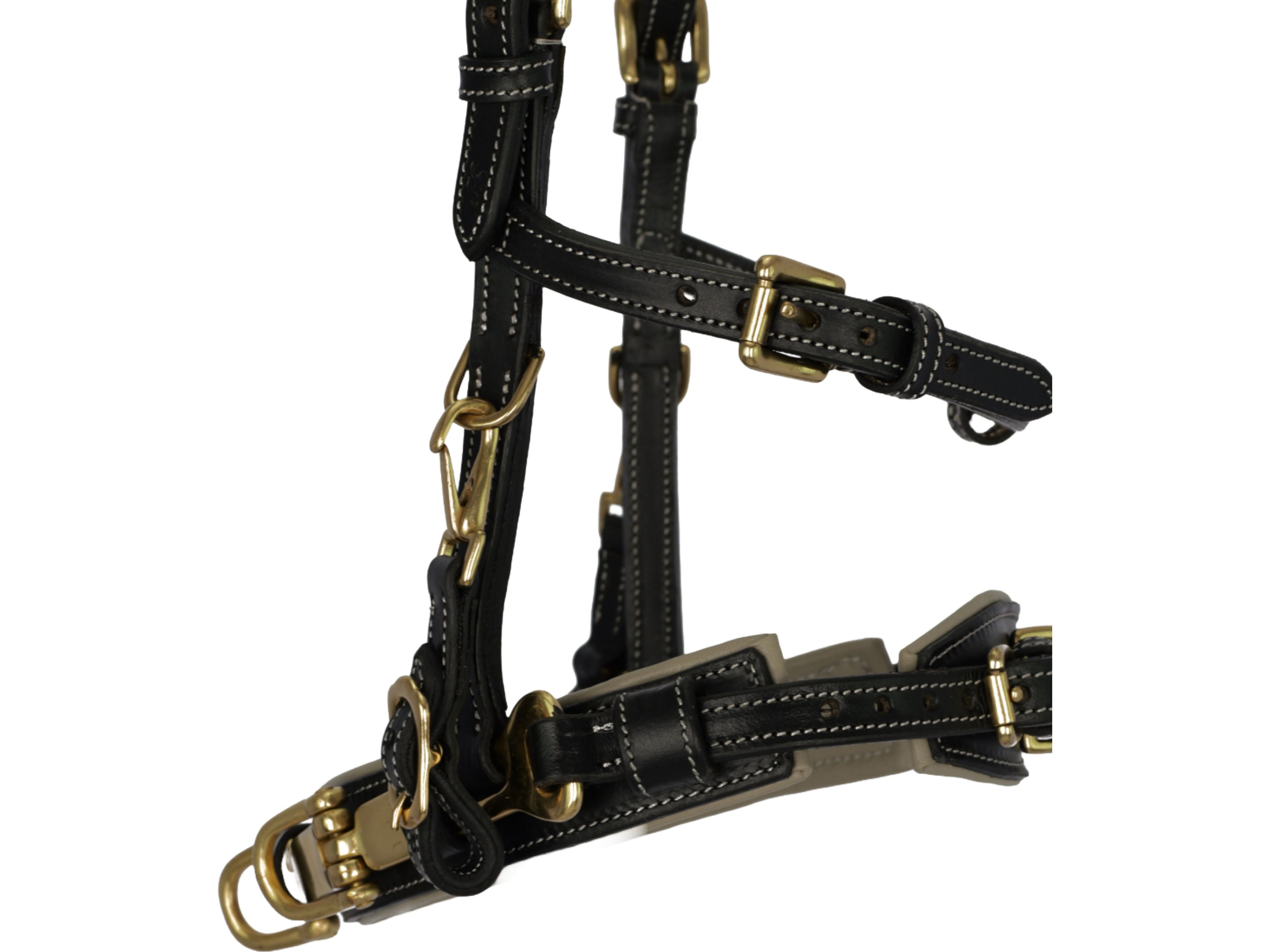 Hilbar Royal Exklusiv Kappzaum Pro Choice