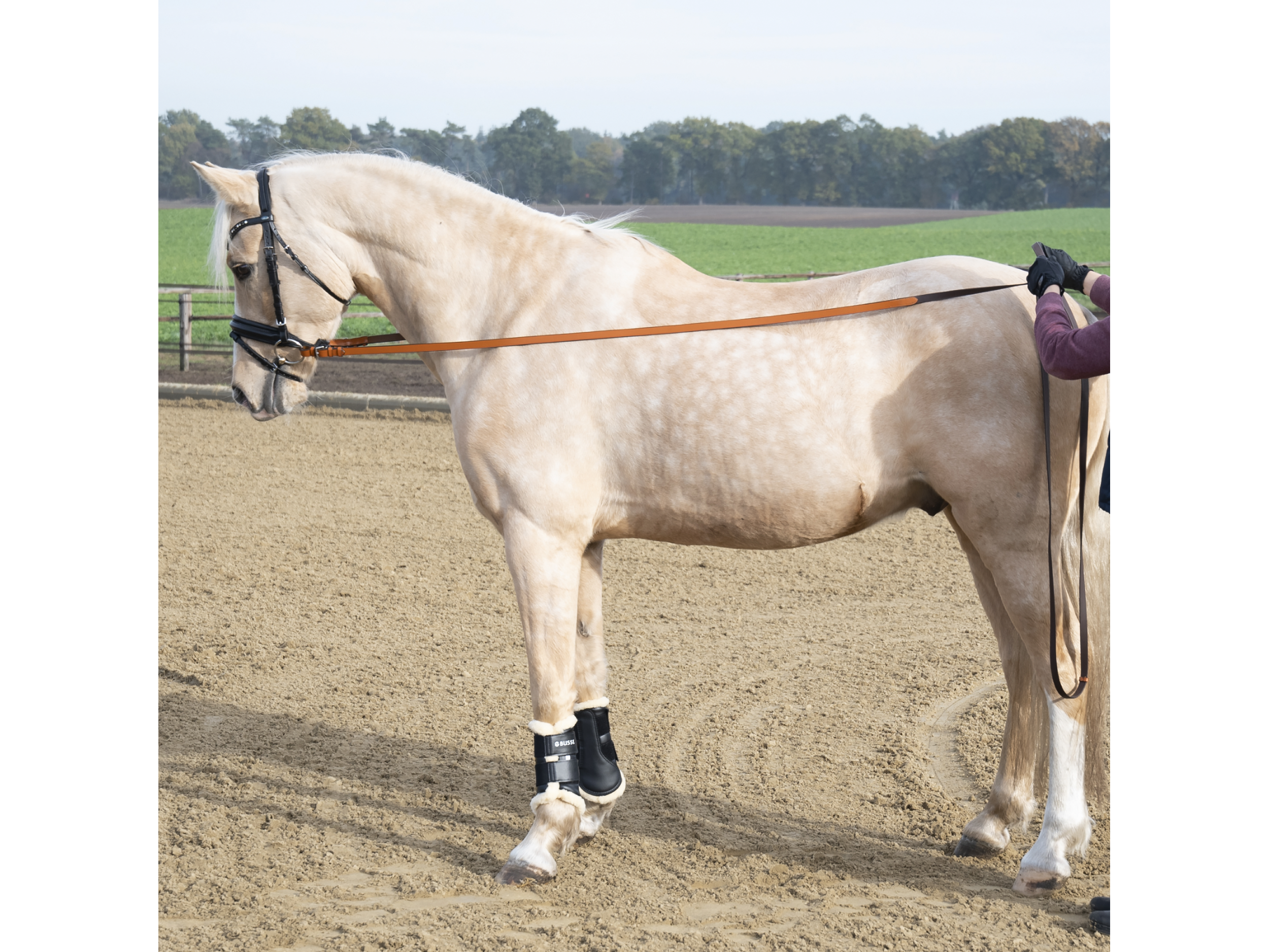 BUSSE Langzügel Biothane®