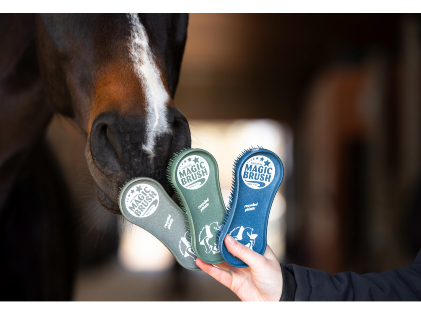 MagicBrush Bürstenset CornFlowers Recycled