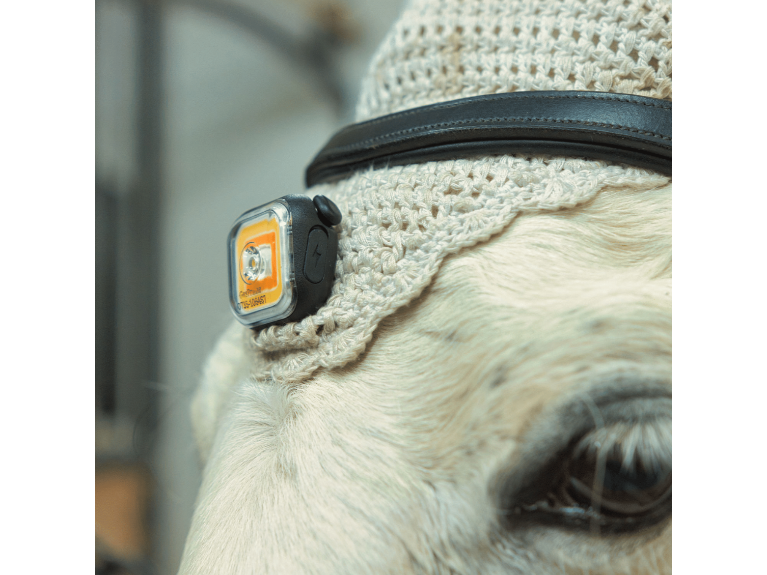 Meolinq Light 01 tragbare Lampe (500 Lumen) für Reiter