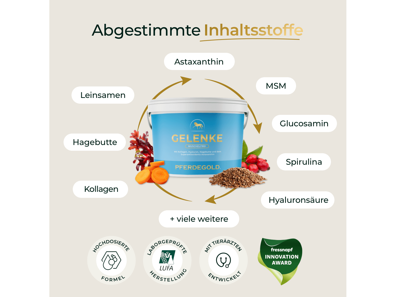 Gelenke Muschelfrei 2.0