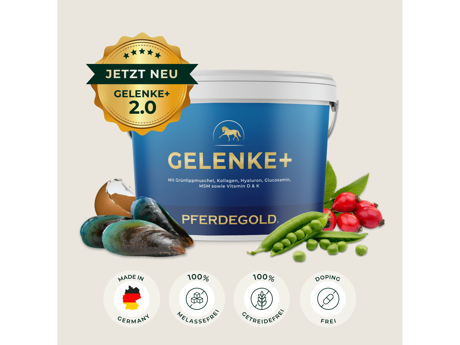 Gelenke+ 2.0
