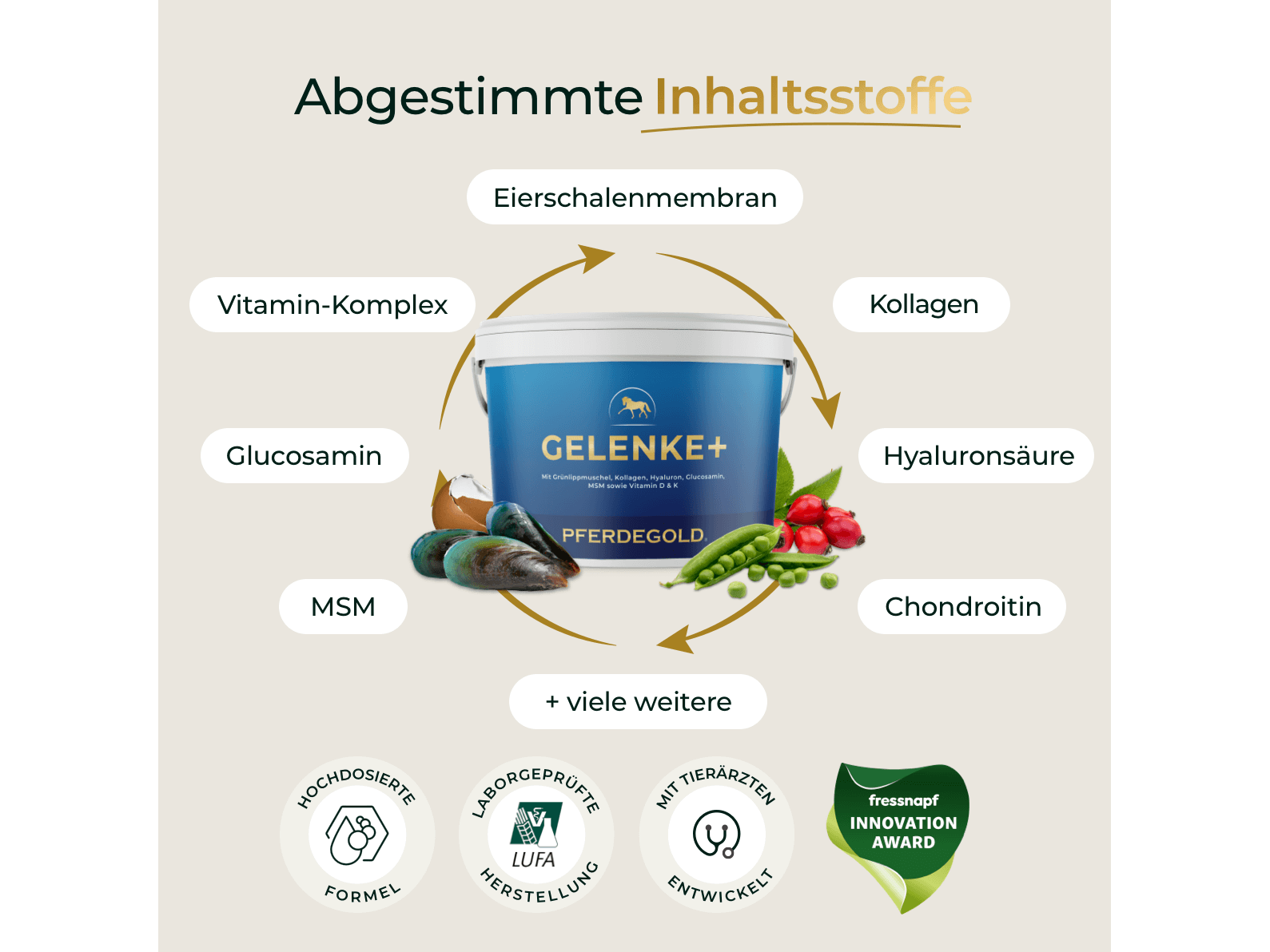 Gelenke+ 2.0