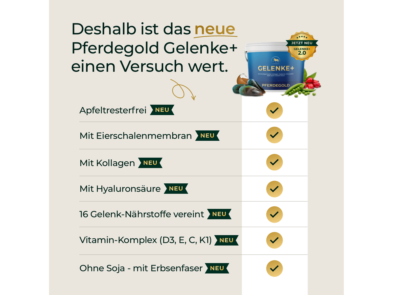 Gelenke+ 2.0