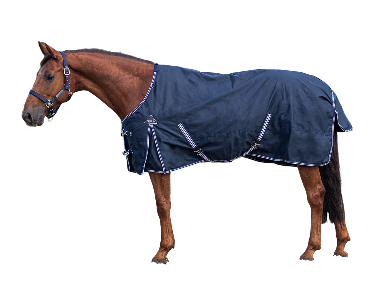 Die Regendecke Turnout Luxus von QHP ist eine bequeme Decke mit 0 Gramm Futter, die Dein Pferd trocken hält und vor Wind schützt