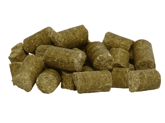 Salvana Islandais Brix 25kg