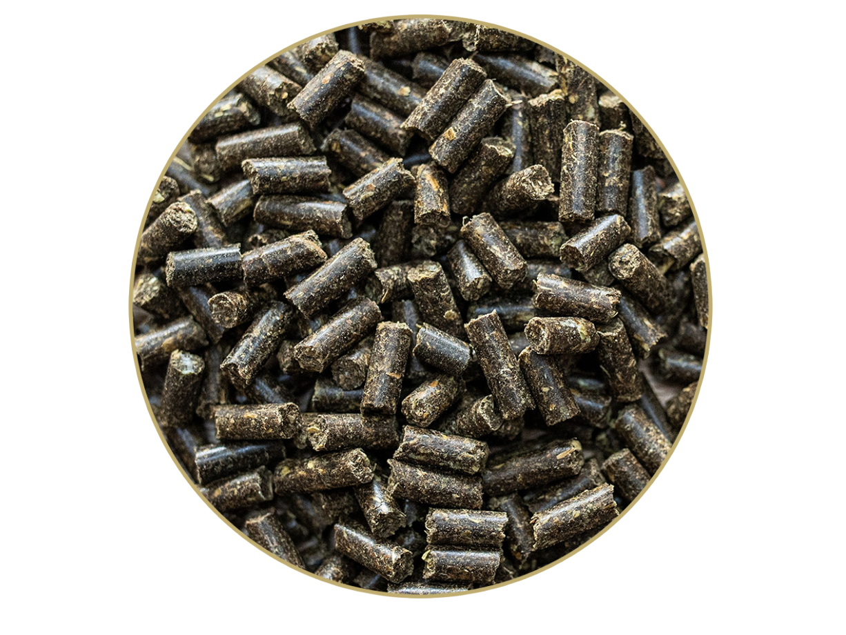 St. Hippolyt Glandogard® 10 kg