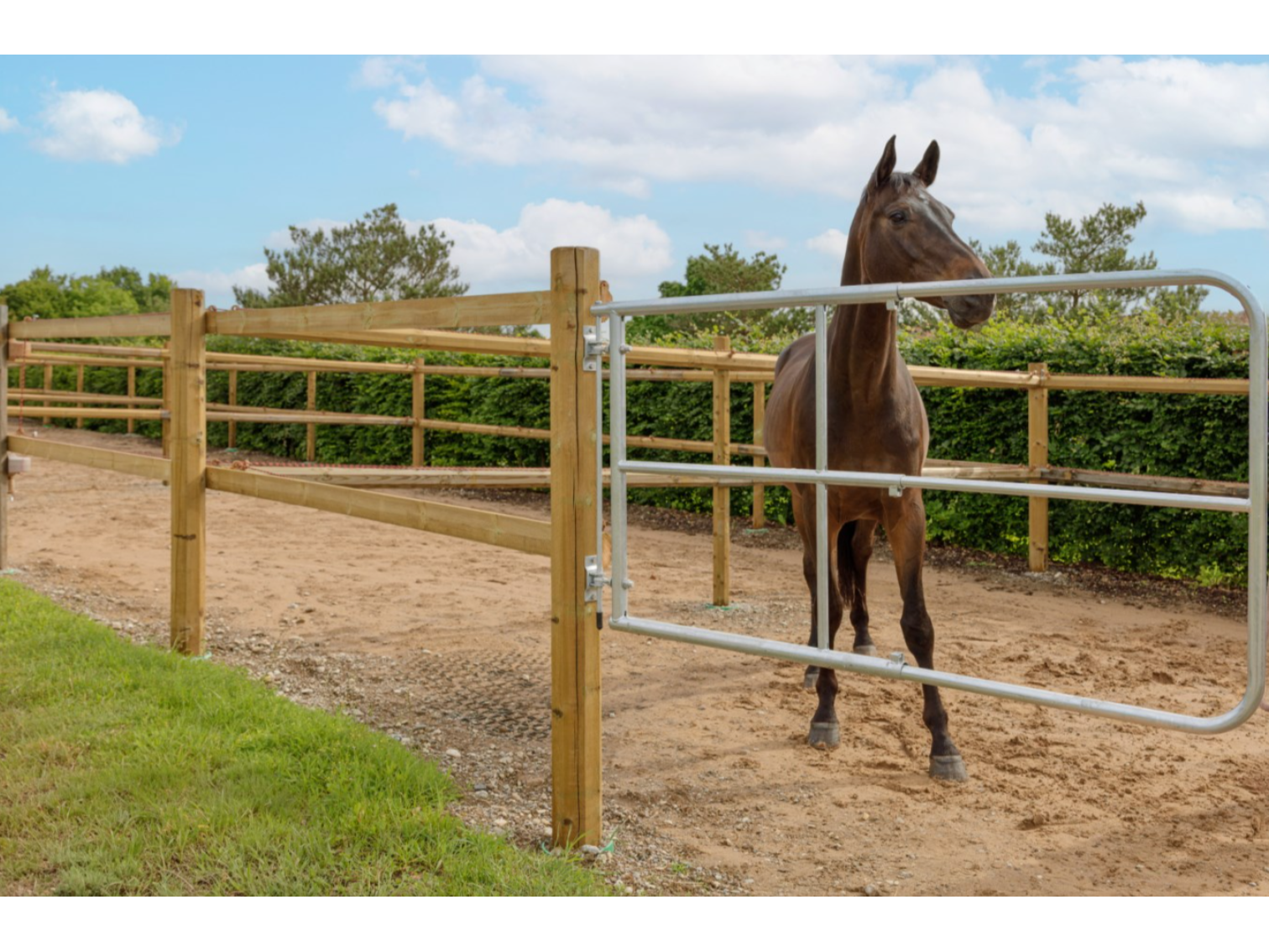 Icelandic Horse Weidetor verstellbar für Pferdehalter