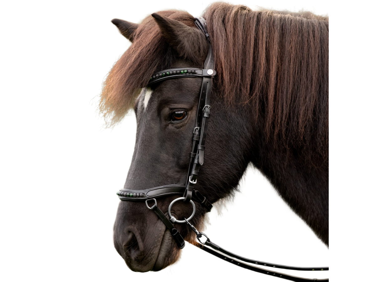 Epona Anatomische Trense Lava grün am Islandpferd – schwarzes Leder mit Lavasteinen und grünem Tigerauge