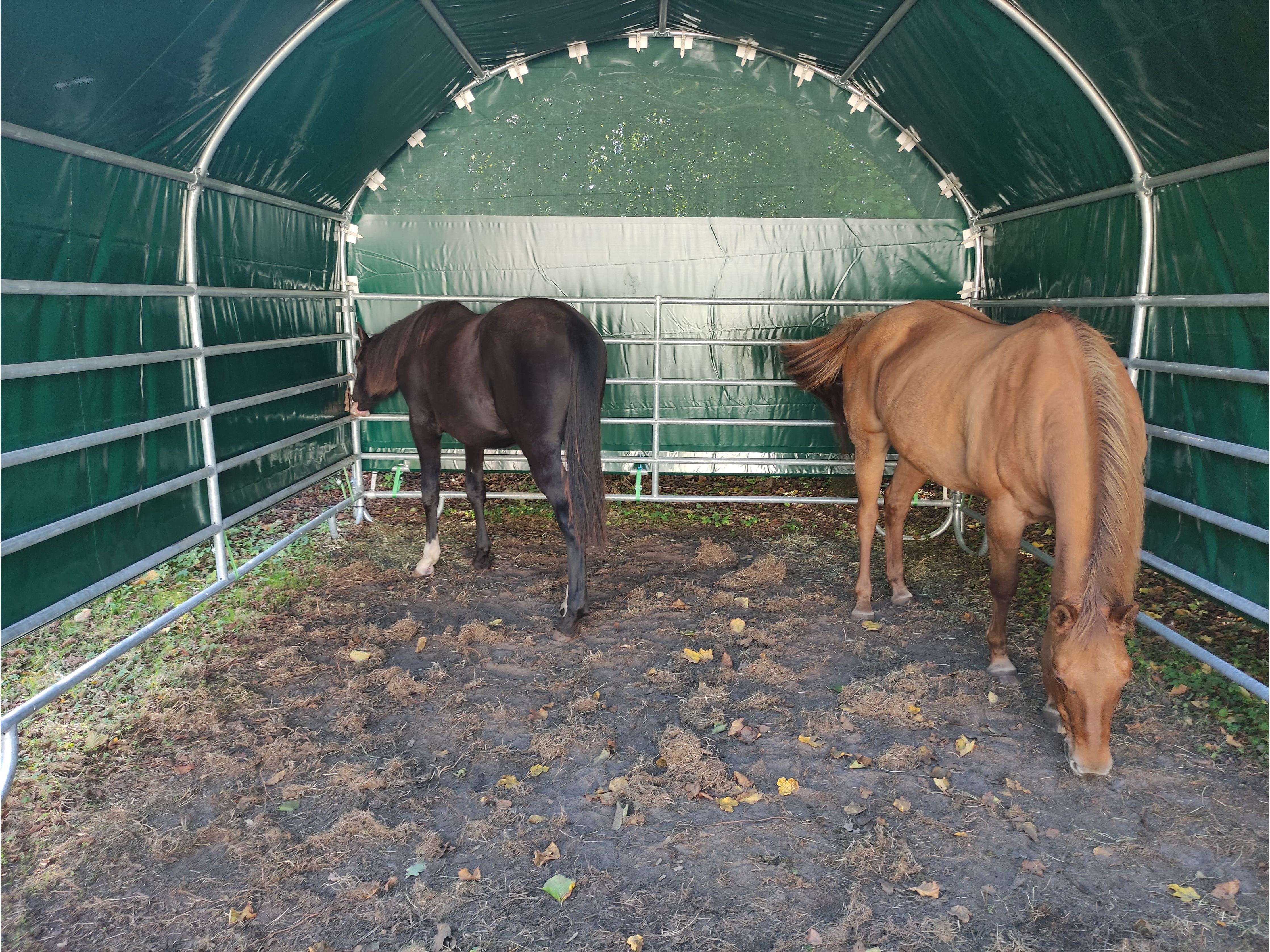 COVER ALL Mobile Cover Weideunterstand 4 x 4 m, dachfolie lang, giebel lang, farbe grün