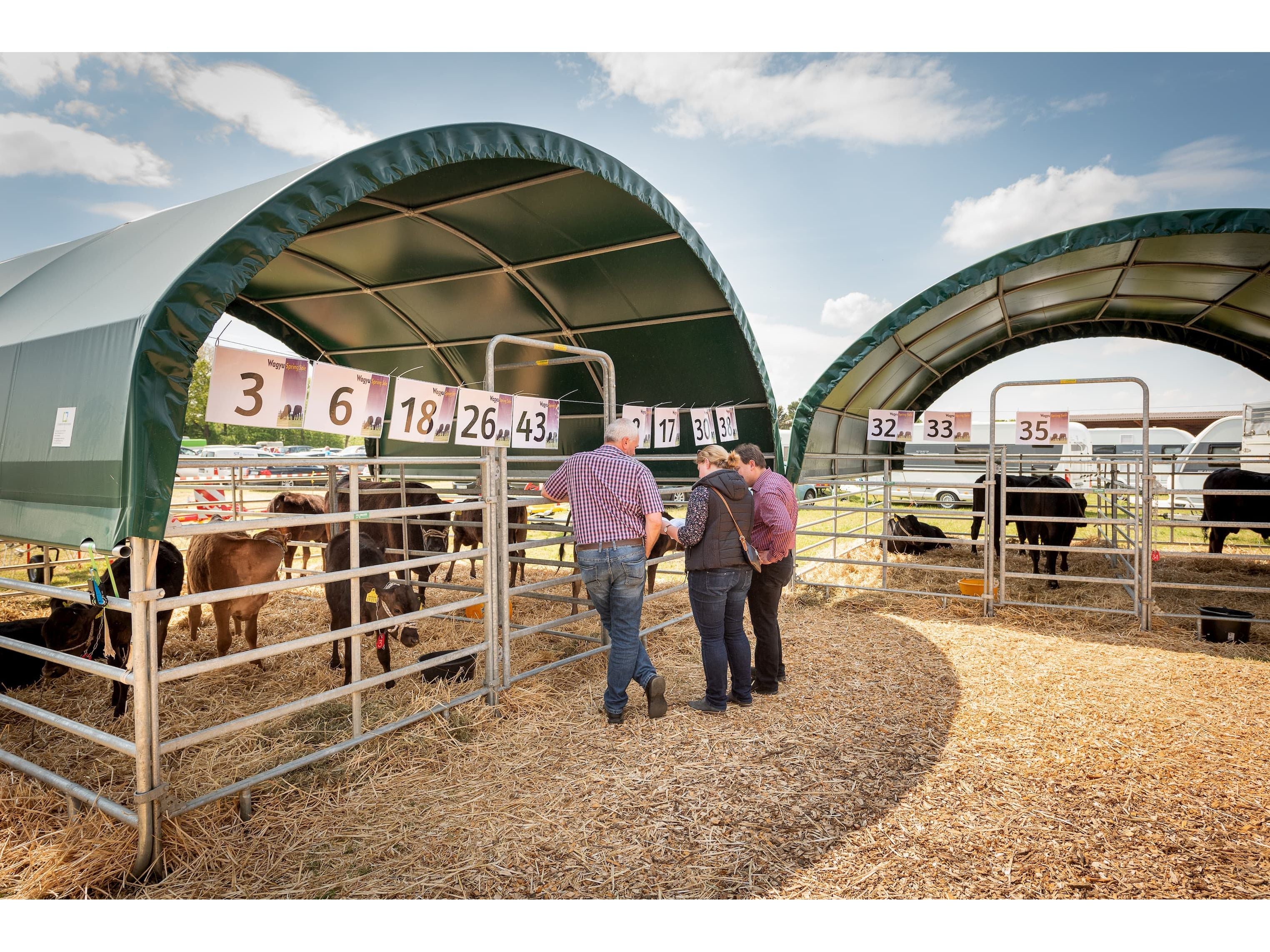 COVER ALL Mobile Cover Weideunterstand 6 x 6 m, dachfolie kurz, farbe grün