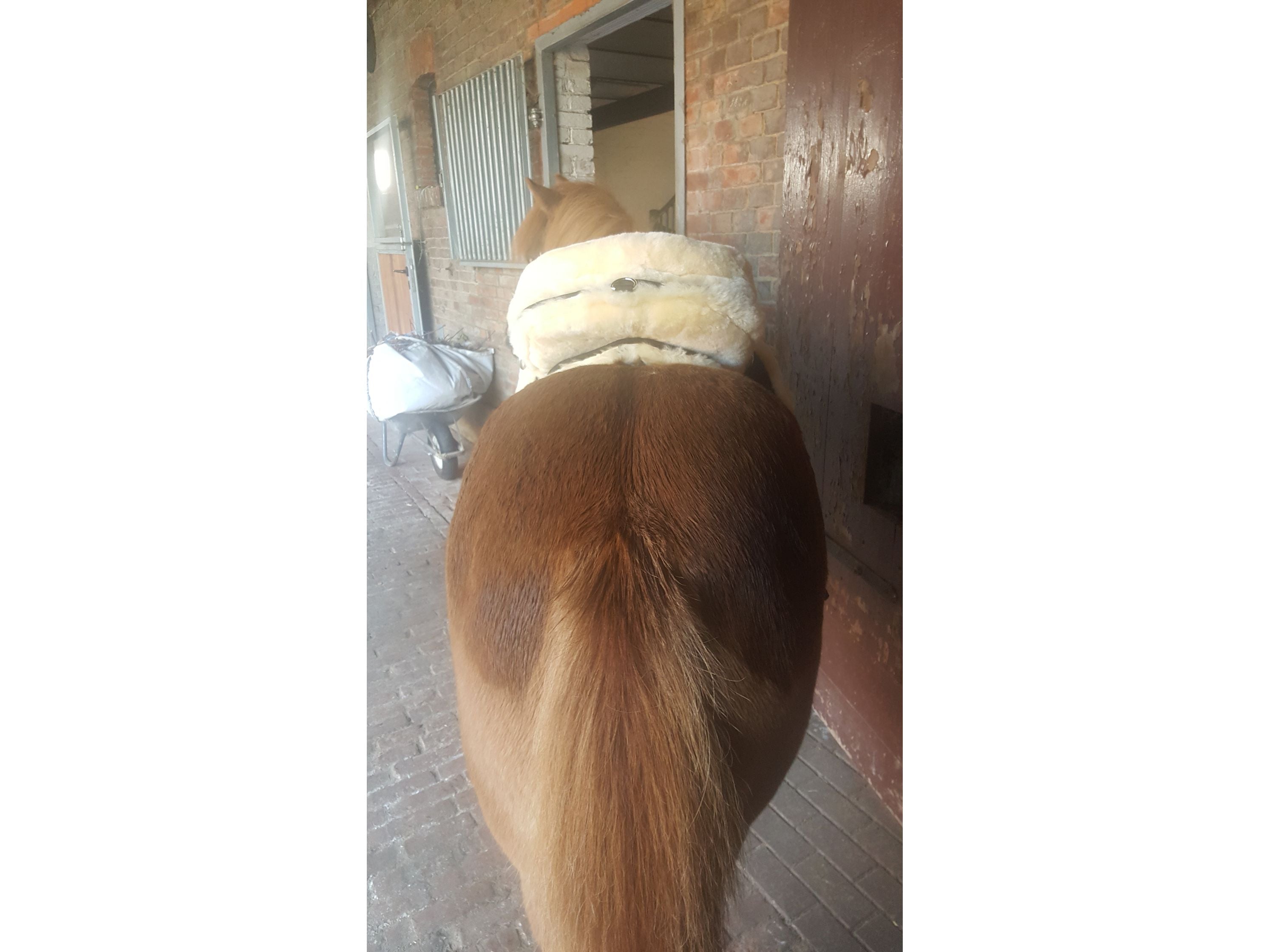 Engel - Cuir d'agneau de selle en fourrure avec tissu d'espacement