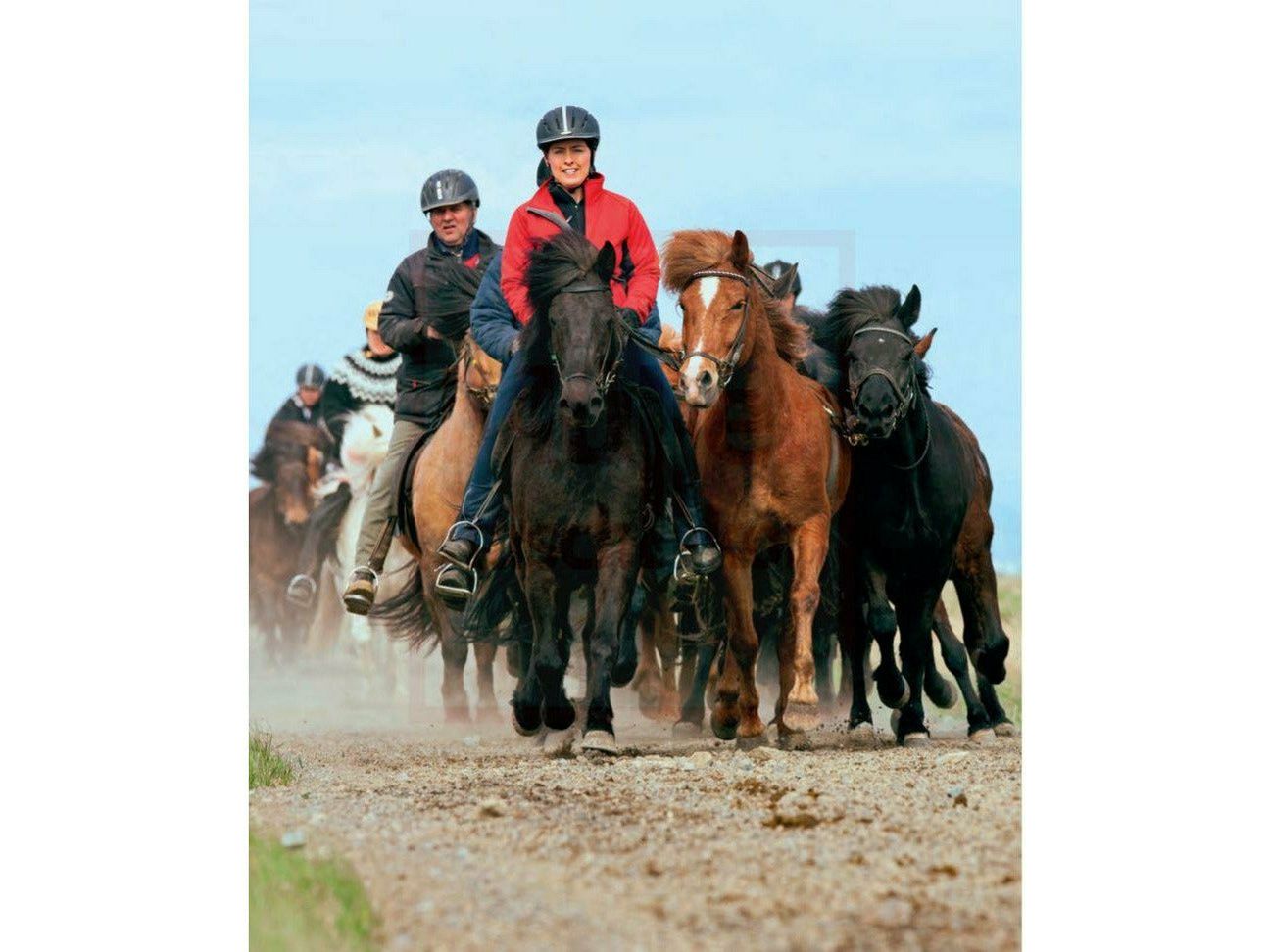 Magische Islandpferde - Eine Liebeserklärung an Pferde, Land und Leute