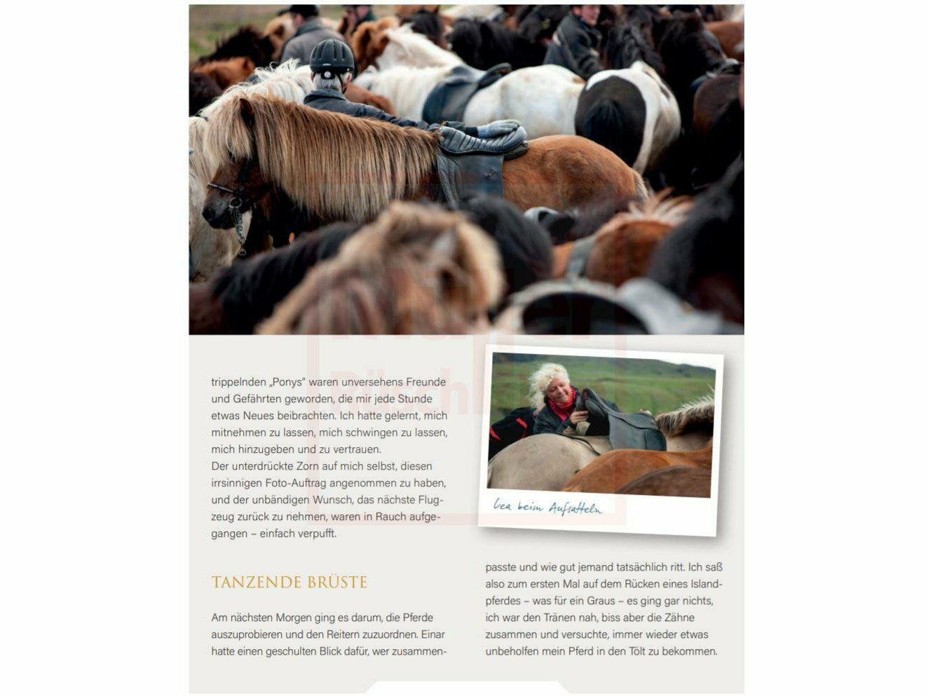 Magische Islandpferde - Eine Liebeserklärung an Pferde, Land und Leute
